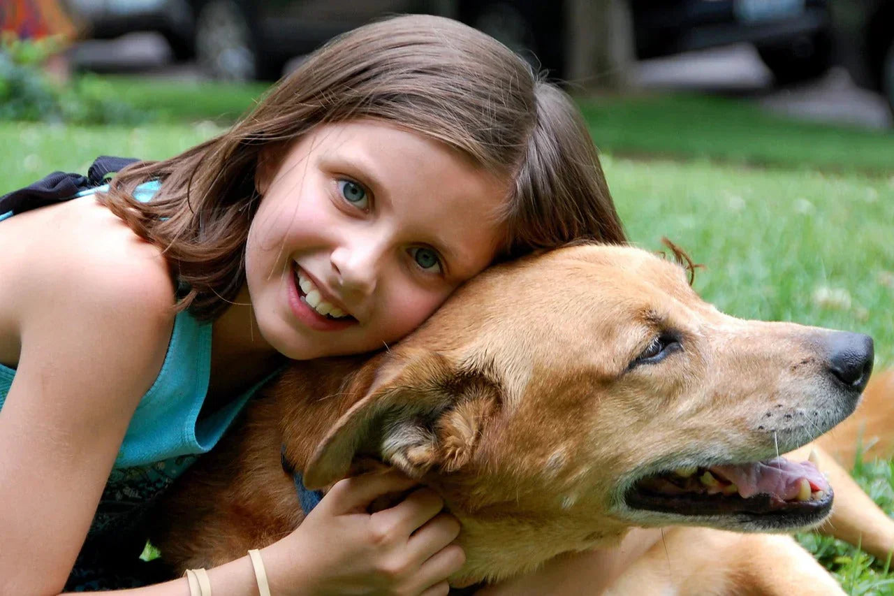 Choosing the Right Dog Food for Your Pup